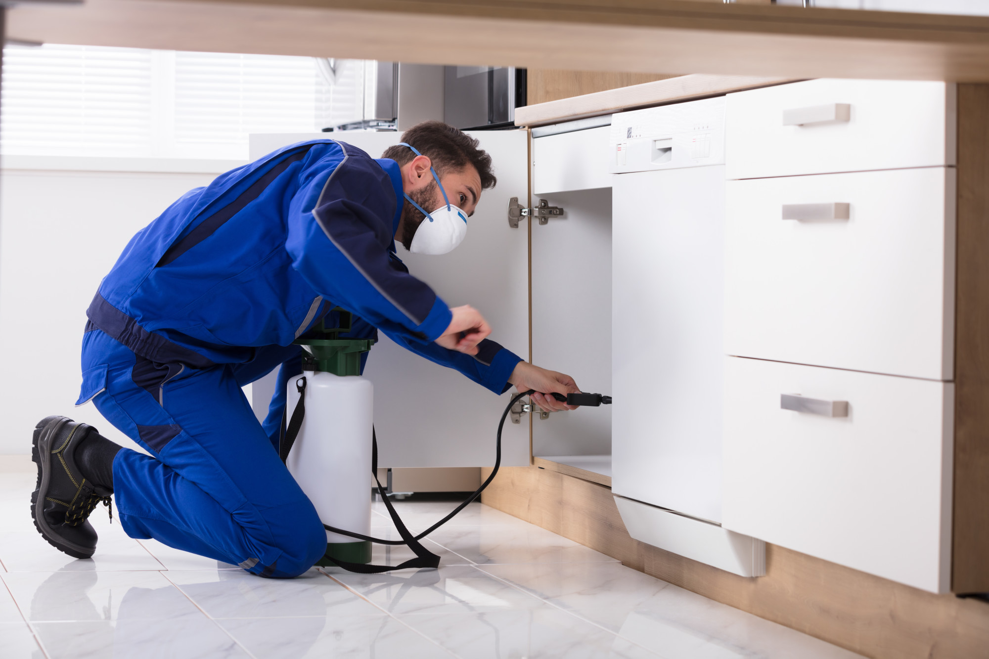 Annual pest control services are essential to keep your home clean and safe. Here's what you need to know about the benefits of pest control services.