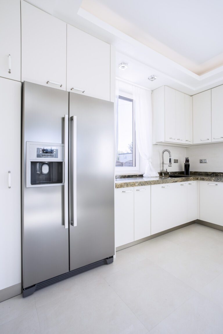 What Are the Main Types of Refrigerators? Living Free Home