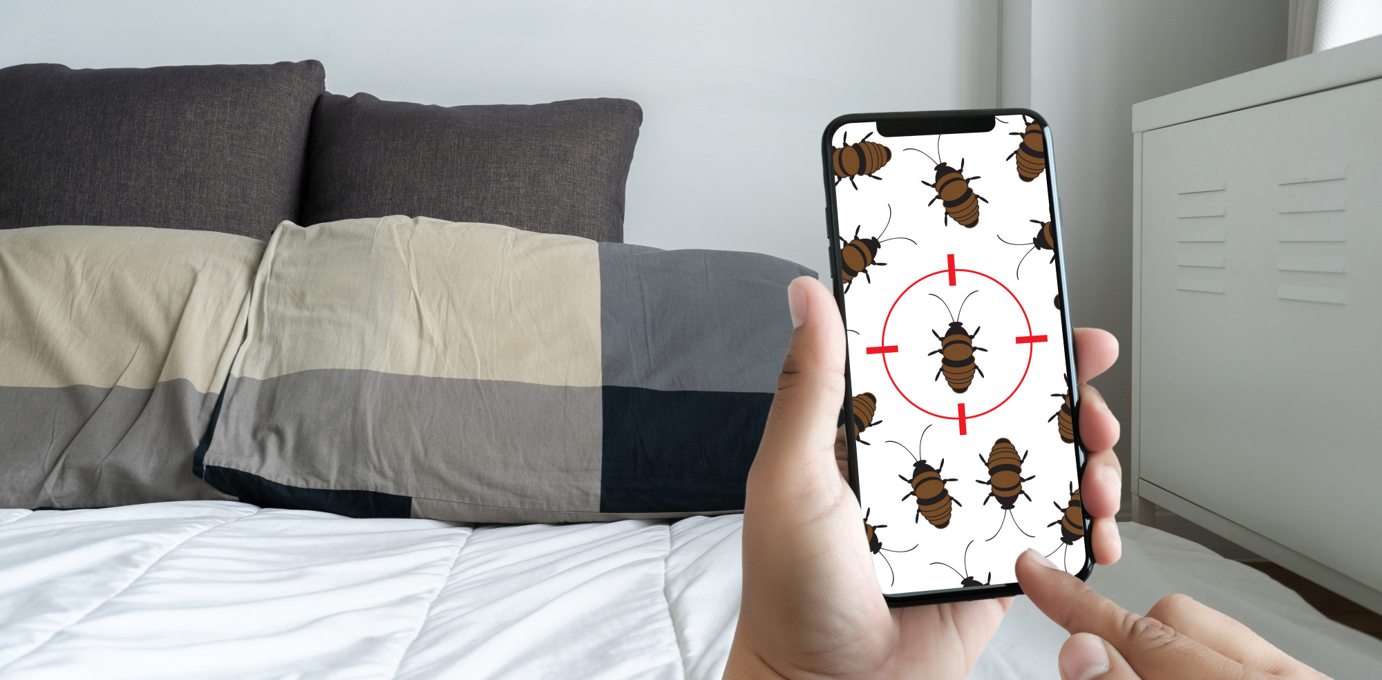 Are you wondering how to keep bed bugs from visiting your home? Click here for five practical tips for preventing bed bugs.
