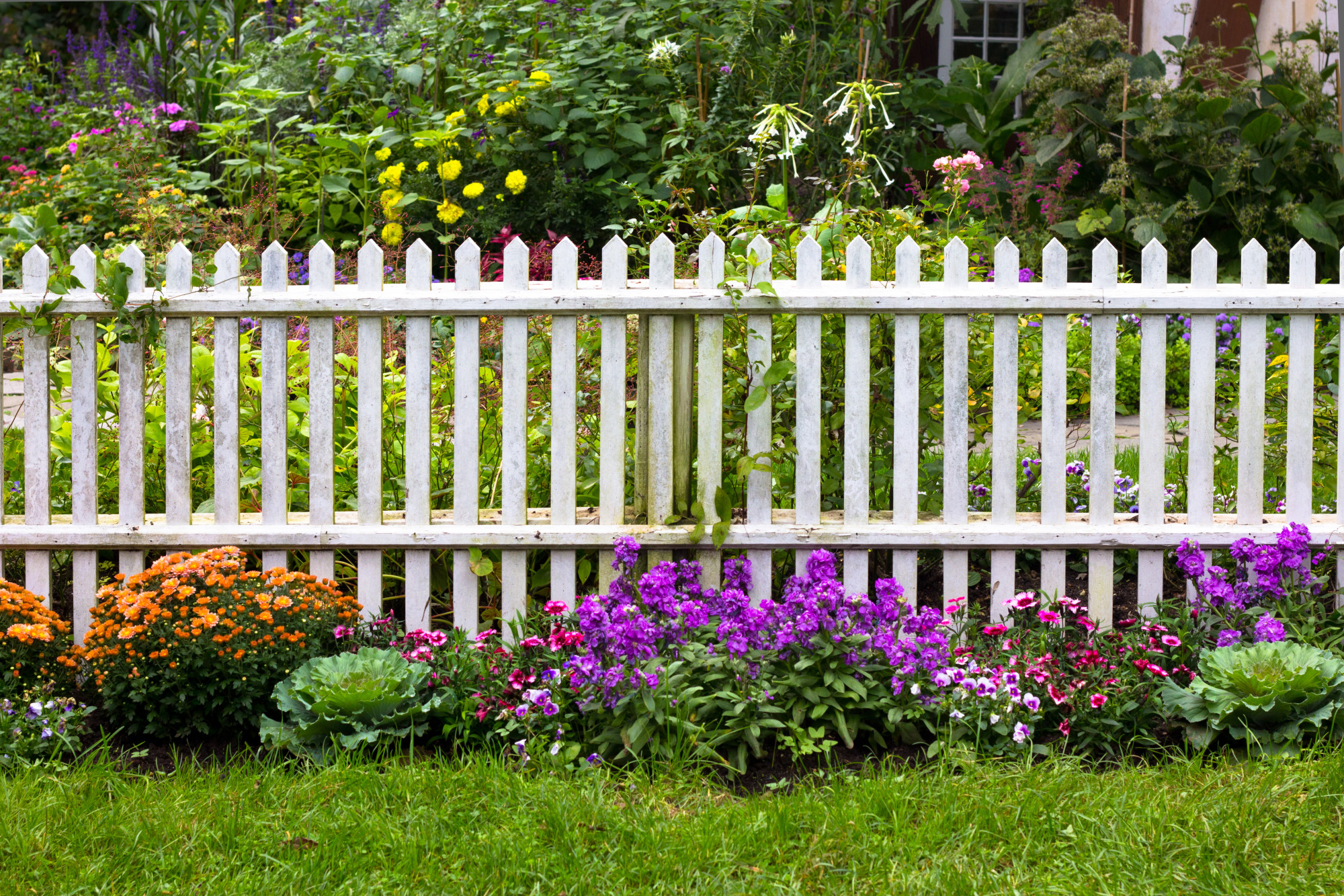 Did you know that not all fences are created equal these days? Here are the many different types of fences that exist today.