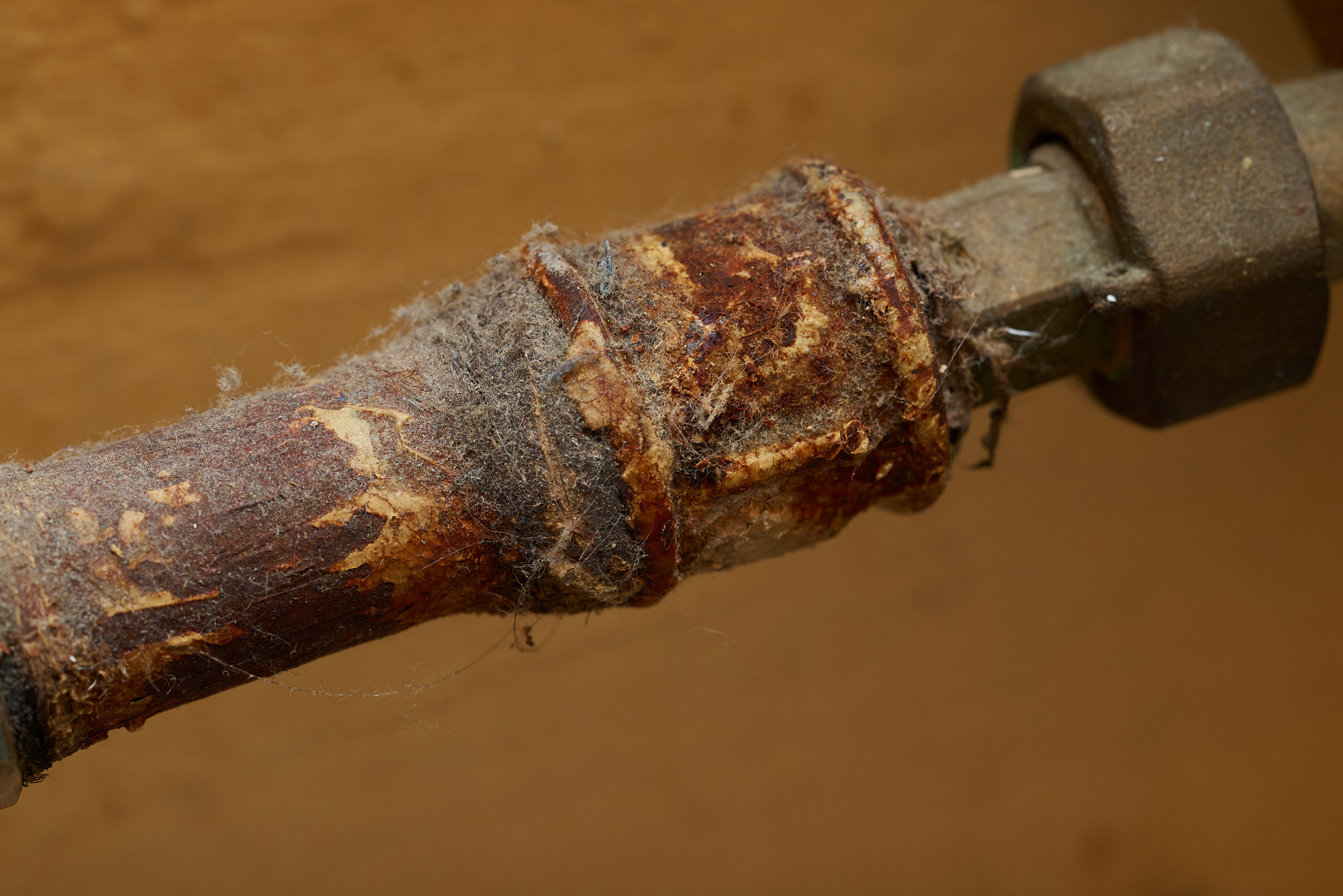 Do you have rusty pipes in your home? If so, it's beneficial to learn about the common causes and solutions. Click here for details.