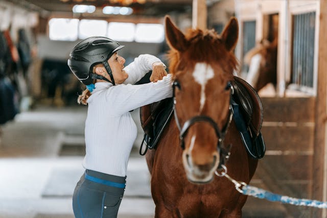 Choosing the Right Horse Jump Cups for Safety and Performance